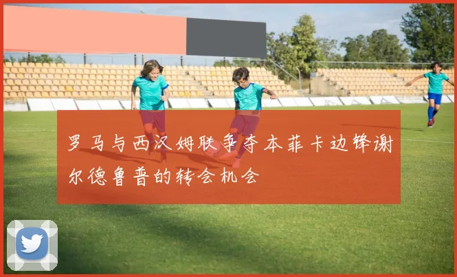 罗马与西汉姆联争夺本菲卡边锋谢尔德鲁普的转会机会